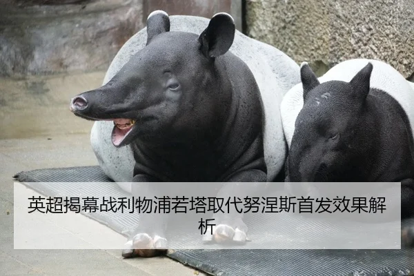 英超揭幕战利物浦若塔取代努涅斯首发效果解析